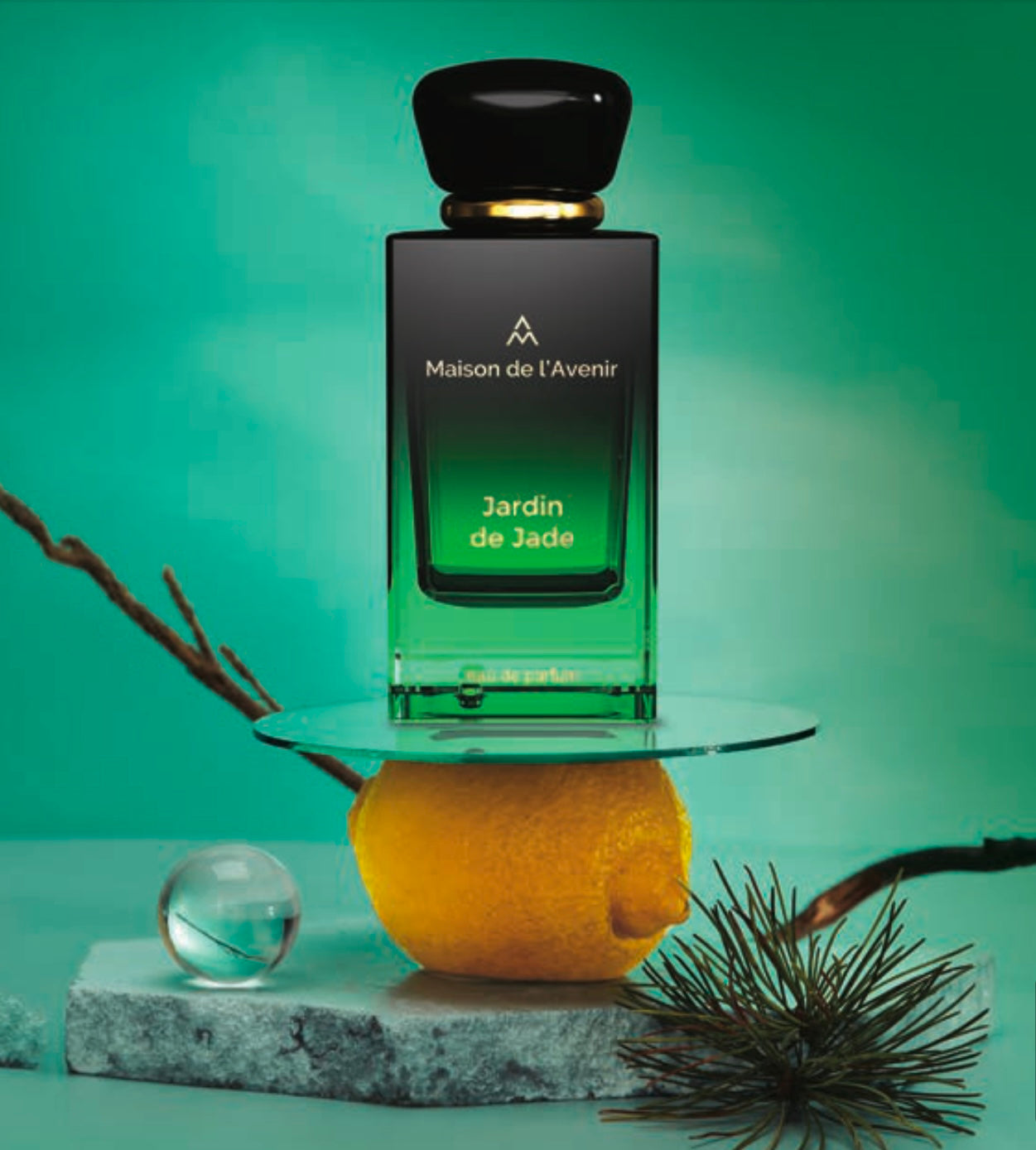 Maison de l'Avenir Jardin De Jade